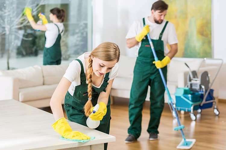 Professional Deep Home Cleaning Services
