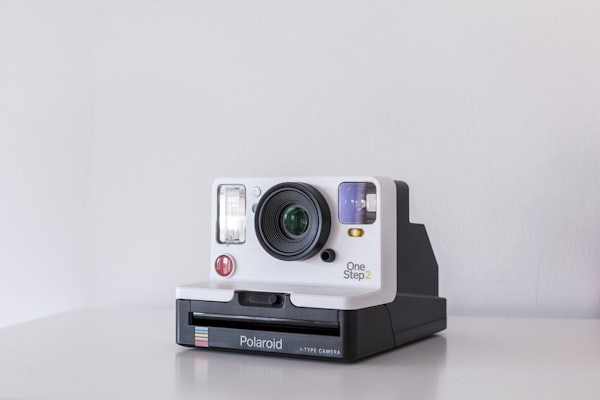 Vintage Camera Collection
